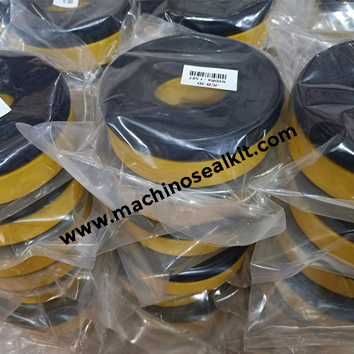 Hydraulic Seal